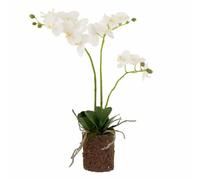 Fleur Artificielle Déco Orchidée en Terre 54cm Blanc