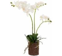 Fleur Artificielle Déco Orchidée en Terre 54cm Blanc
