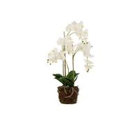 Fleur Artificielle Déco Orchidée en Terre 72cm Blanc
