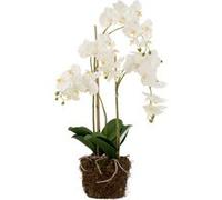 Fleur Artificielle Déco Orchidée en Terre 72cm Blanc Blanc G