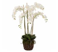 Fleur Artificielle Déco Orchidée en Terre 98cm Blanc