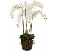 Fleur Artificielle Déco Orchidée en Terre 98cm Blanc