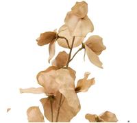 Fleur artificielle Fria H74cm - Atmosphera Créateur d'intérieur