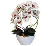 Fleur artificielle, orchidée, 3P, caoutchouc vivant, Damich, blanc tacheté