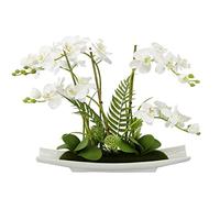 Fleur Artificielle Papillon orchidée 50 cm avec Feuilles et Racines aériennes dans Un Bol en céramique Fleur Artificielle Orchidée Phalaenopsis Plante Artificielle Décoration de Mariage Fleur en Soie