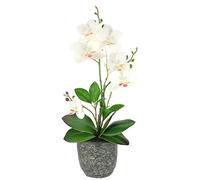 Fleur Artificielle Papillon orchidée avec Feuilles et Racines aériennes dans Un Pot en céramique Fleur Artificielle orchidée phalaenopsis avec Pot Plante Artificielle décoration Mariage Fleur en Soie