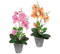 Fleur artificielle papillon orchidée avec feuilles et racines aériennes dans un pot en céramique fleur artificielle orchidée phalaenopsis avec pot plante artificielle décoration mariage fleur en soie