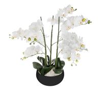 Fleur Artificielle Pot Ciment ""Orchidée"" 65cm Noir