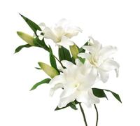 Fleur de lys artificielle blanche - EVA à double pétales, 15 cm de diamètre, 60 cm de hauteur pour décoration de mariage et de maison
