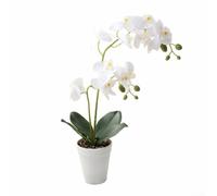 Fleur décorative pour mariage Décoration de table 39 cm Artificielle (Blanc | Toucher réel pour la surface, trompeusement réaliste, hauteur de 39 cm, pot blanc inclus, aucun entretien nécessaire