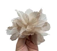 Fleur En Mousseline Tête de fleur en dentelle 3D artificielle for décoration murale, vêtements, chaussures, chapeaux, robe, accessoires mousseline soie(12,5pcs)
