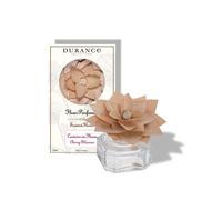 Fleur parfumée cerisier en fleurs