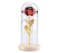 Fleur Rose du Petit Prince, Fleur éternelle préservée avec Ficelle à Del dans Un dôme en Verre.Bon pour Petite Amie, Saint Valentin, Le Jour de la mère(Rouge)