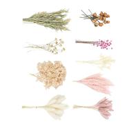Fleur séchée avec Tige Petits Bouquets de Fleurs séchées pour couronnes Faites à la Main, centres de Table et décorations de fête, décoration de Maison pressée