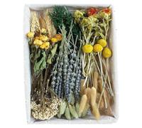 Fleur séchée avec Tige Petits Bouquets de Fleurs séchées pour couronnes Faites à la Main, centres de Table et décorations de fête, décoration de Maison pressée