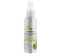 Fleurance Nature Puryfitout Spray Assainissant d'Atmosphère 100ml