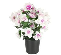 Fleurs artificielles azalées en Pot 29 cm Rhododendron Fleurs artificielles en Soie Décoration de Table Plante d'intérieur Blanc/Rose