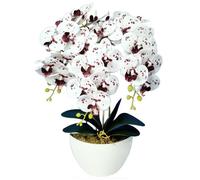 Fleurs artificielles - Damich - Orchidée Damich Spotted White - 3 branches - Blanc spotté