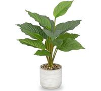 Fleurs artificielles de dieffenbachia en céramique, 37 cm, vertes, plantes décoratives pour table, mur, pièce, cuisine, bureau, hôtel