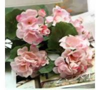 Fleurs artificielles de Geranium - Rouge Rose