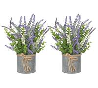Fleurs artificielles lavande et eucalyptus - Lot de 2 petites plantes en pot - Fleurs en plastique dans des pots en métal - Décoration de table rustique - Décoration intérieure de style champêtre