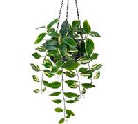 Fleurs artificielles suspendues dans un panier en rotin, décoration moderne pour le salon, le bureau, la salle de bains, la cuisine et l'aménagement intérieur