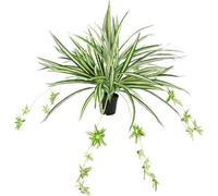 Fleurs artificielles vertes en pot - Chlorophytum, nénuphar, plante araignée - plante suspendue en plastique