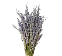 Fleurs De Lavande Biologiques - Bouquet De Lavande Séchée, Bouquet De Lavande Pour La Décoration De La Maison | Pétales De Lavande Signifiant Affection Pièce Maîtresse Élégante, Tiges De Lavande Sélec