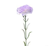 Fleurs de soie Oeillets 51 cm Tige Fleurs de soie Oeillets 51 cm Tige | Lot de 5, tête de fleur de 8 cm, soie réaliste, durable, aucun entretien nécessaire
