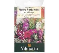Fleurs Parfumees Melange Vilmorin G