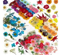 Fleurs pressées naturelles, convenant pour la décoration de bougies, les artisanats DIY en résine, les marque-pages, la fabrication de bijoux, la fabrication de bougies, la fabrication de savon fait m