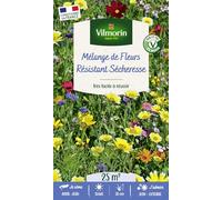 Fleurs Résistantes Sécheresse - 25 m² - Mélange de fleurs