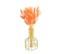 Fleurs séchées de Queue de Lapin| Fleur Queue Lapin séchée Bouquet Fleurs Naturel Décor d'herbe Pampas pour la décoration intérieure 50 pièces 50 cm Orange