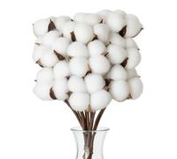 Flewdart 10 pcs Fleurs de Coton séchées Naturelles, Fleurs de Coton sechees décoration Grande Tige artificielles pour Balcon Maison Table Composition Florale