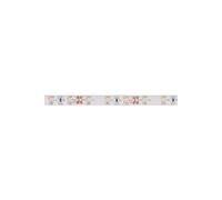 Flexible Led - Blanc Chaud - 300 Led - 5 M - 12 V