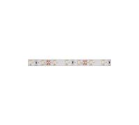 Flexible led - blanc froid - 300 leds - 5 m - 12 v velleman ls12m130cw1 Blanc G
