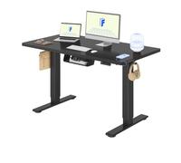 FLEXISPOT Bureau Assis Debout avec 2 Moteurs | 120x80cm,Charge 120kg, Système anti-collision, Fonctions Mémoires & Accessoires Pratiques,Gain de Place, Noir+Noir