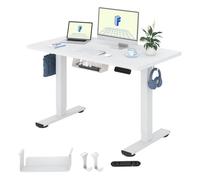 FLEXISPOT Bureau Assis Debout 120x60cm Une Pièce, Bureau Réglable en Hauteur Électrique, Bureau Informatique avec Crochet, Max Charge 70kg (Cadre Blanc+Plateau Blanc)
