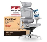 FlexiSpot Chaise de Bureau Ergonomique Charge 250 kg, Réglage à 12 Niveaux, Accoudoirs 7D,Lombaire 5D, Maille, Gris
