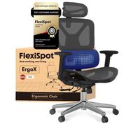 FlexiSpot ErgoX Chaise de Bureau Ergonomique, Appui-tête 3D Accoudoir 3D et Support Lombaire 5D Indépendant, en Maille Gris