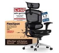 FlexiSpot ErgoX Pro Chaise Ergonomique avec Repose-Pieds, Charge 250 kg, Réglage à 12 Niveaux,Accoudoirs 7D,Lombaire 5D, Maille,Gris