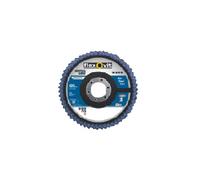 Flexovit 63642518001 Lot de 10 disques à lamelles, support en fibre de verre, conique, R822, 125 mm D x 22 mm A, 60 grains