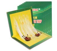 flintronic 6PCS Pièges Adhésifs, Puissant Plaques de Glu, Plaques Collantes Anti Antiparasitaires et Rongeurs