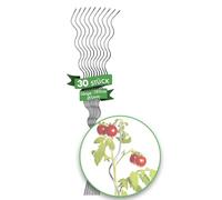 FLOORDIREKT Lot de 30 tuteurs en spirale pour tomates - Longueur : 180 cm - Tuteur à tomates - Tuteur à tomates - Tuteur en acier galvanisé