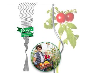Floordirekt : tuteurs en spirale pour tomates, entièrement galvanisés, tuteurs pour tomates et plantes grimpantes, tuteurs de jardin, tuteurs en spirale - 1,8 m, lot de 30