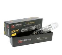 FLORASTAR Ampoule CMH 600W E40 Full Spectrum 3000K Xtrem PAR Output - Floraison Optimisée