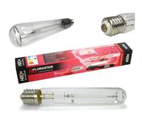 FLORASTAR Ampoule HPS 600W HRO+ Spectre Ultra-Rouge Floraison Culot E40 Horticulture