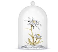 Florere 130e Anniversaire Cloche de Verre OS