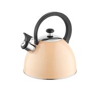 FLORINA Bouilloire BRILLO (2 l) | Bouilloire en acier inoxydable | Poignée en bakélite | Pour cuisinière à induction, gaz et électrique | Couleur : Pêche