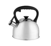 FLORINA Bouilloire Inox (2,1 l) I Bouilloire Sifflante ONDA I Poignée en Nylon I Couvercle Amovible I Bouilloire Induction, Gaz I Pour Thé et Café I Sifflement Automatique I Couleur: Argent